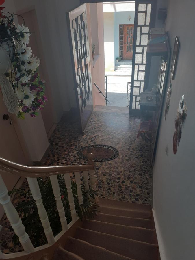 Thalia'S Garden Hotel Mytilene ภายนอก รูปภาพ