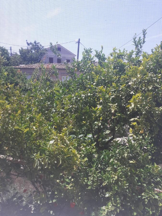 Thalia'S Garden Hotel Mytilene ภายนอก รูปภาพ